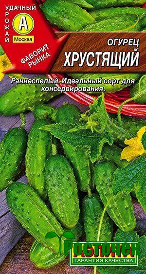 Огурец Хрустящий