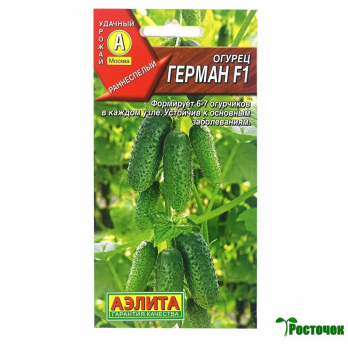 Огурец Герман F1