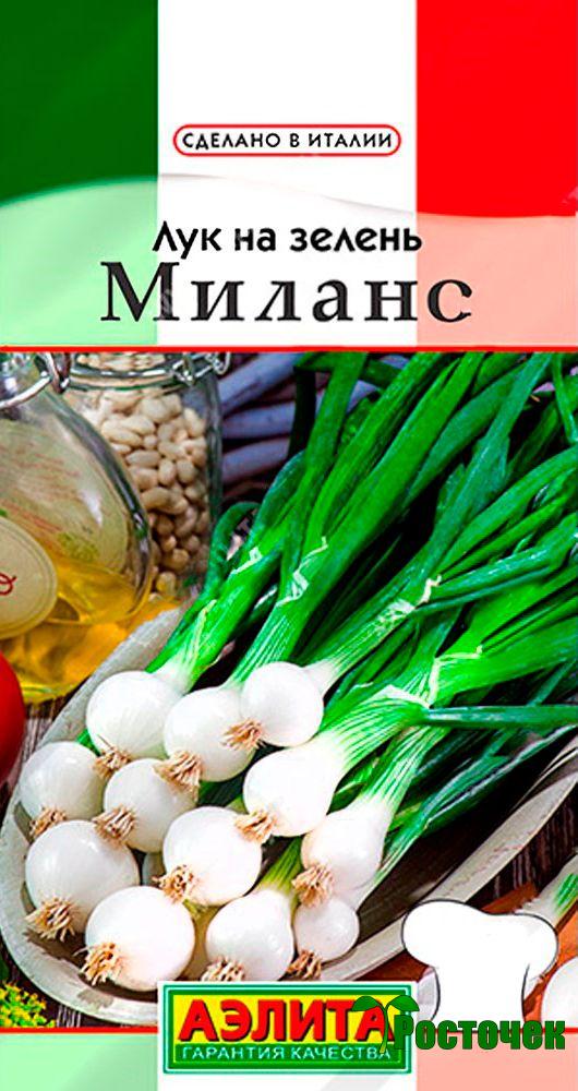 Лук на зелень Милано